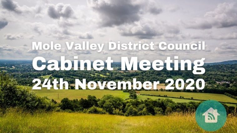 Mole Valley Cabinet Meeting 24th November 2020