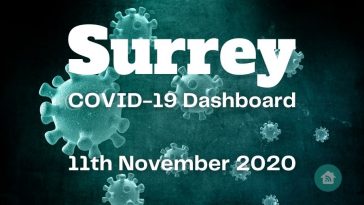 COVID daily data dashboard for 11th November 2020